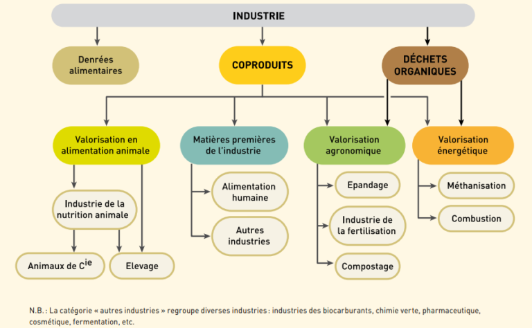 Les différentes voies de valorisation des coproduits