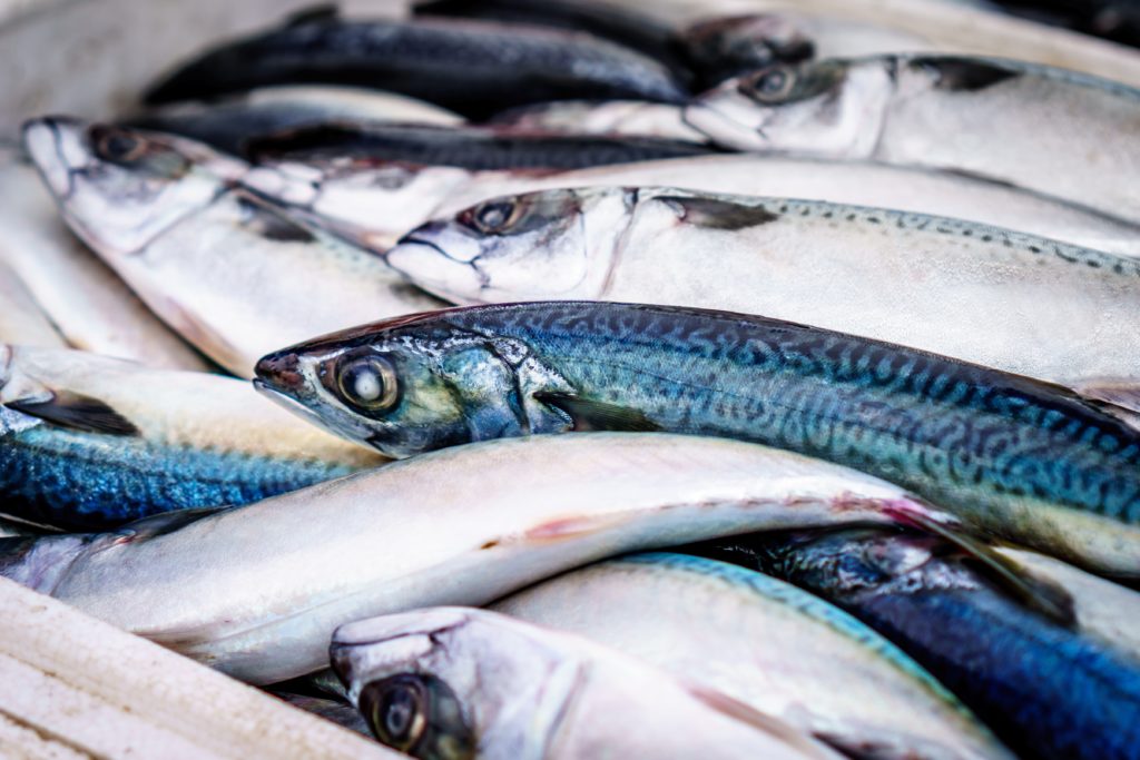 Poisson sources d'ingrédients santé