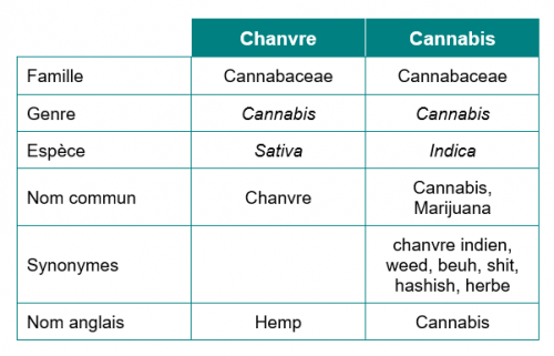 classification