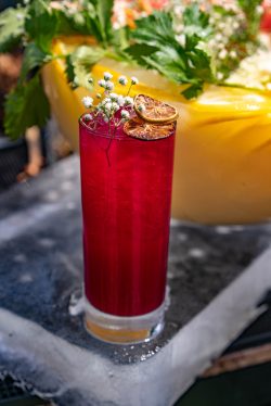 red-glass-with-garnished-beverage-2842876